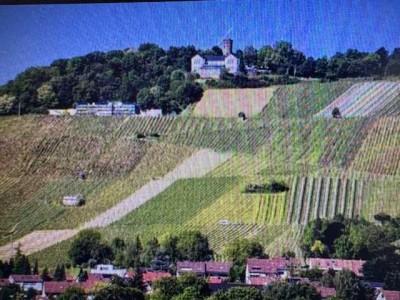 4-Familienhaus mit Ausbaupotenzial-angrenzendem Einfamilienhaus mit separatem Bürokomplex