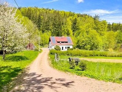 Hier sagen sich Fuchs & Hase gute Nacht... hochwertiges Einfamilienhaus in idyllischer Lage!