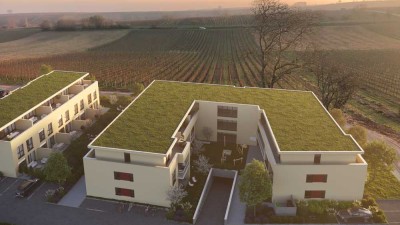 Exklusive Neubau-Eigentumswohnung zum Erstbezug, mitten in den Weinbergen