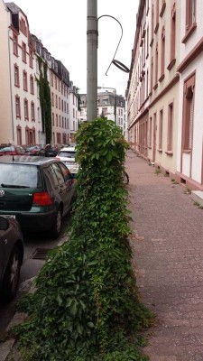 UNRENOVIERTE 2-ZI-ALTBAU-ETW IM I. OG