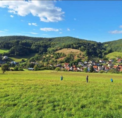 Ansprechende gepflegte 2-Zimmer-Wohnung in Sulzbach a. Main