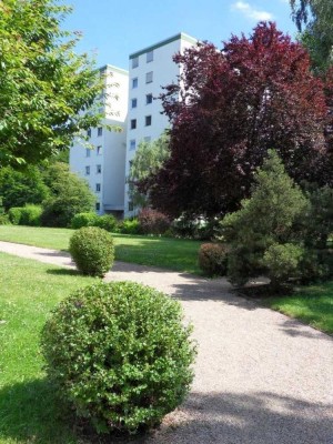 Auf Du und Du mit dem Wald