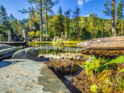 UNIKAT- Exklusive "Almhütte" mit 2 Fischteichen und Sauna in Kärnten