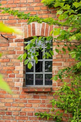 Nahe Müritz-Seen-Park ‐ Ehemaliger Bauernhof mit vier Wohneinheiten und großer Scheune