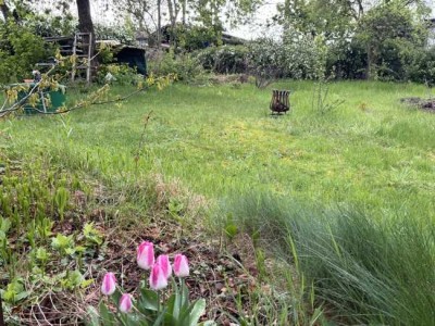 Sommer im eigenen Garten genießen.