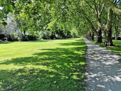 Familienfreundliche 5-Zimmer-Altbauwohnung mit Balkon in Bielefeld