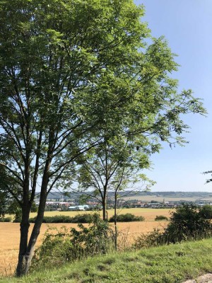 Sonnige 3-Zimmer-Wohnung in LAUCHA