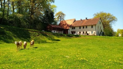 Großes Landhaus mit Scheune, Pferdehaltung möglich.
