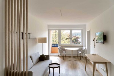 1 Zimmerwohnung neu möbliert