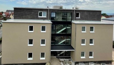 3 ZKB, Gäste-WC, Abstellraum, Dachterrasse, in Dannstadt-Schauernheim