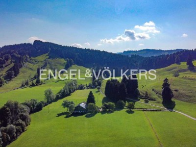 RESERVIERT! Alleinlage! Ehemalige Hofstelle im Grünen mit viel Platz und Potential