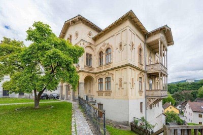 WG-taugliche Wohnung/Studentenwohnung in Stadtvilla mitten in Steyr, nahe der FH