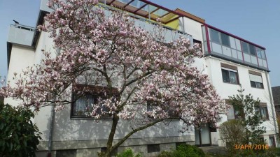 Großzügige, geräumige 2-Zimmer-Hochparterre-Wohnung mit Balkon in Leimen