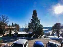 Zwei Zimmer Terrassenwohnung – herrliche Top Lage im Schwarzwald