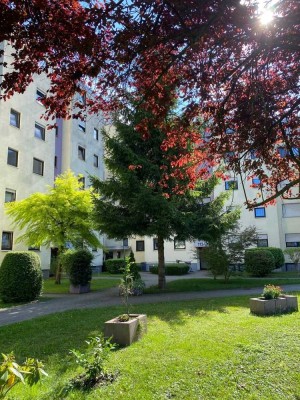 Eine 3 Zi Wohnung in Rastatt-Rheinau ab sofort zu vermieten