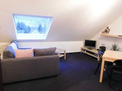 Mainz-Laubenheim / Vermietung einer lichtdurchfluteten 2-Zimmer-Dachwohnung an alleinstehende Person
