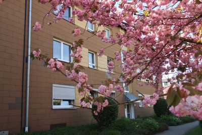 Einziehen & Wohlfühlen – Charmante 3-Zimmer-Wohnung in ruhiger Lage von Aplerbeck