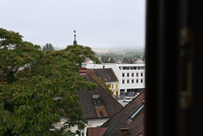 Neu sanierte Eigentumswohnung im Zentrum