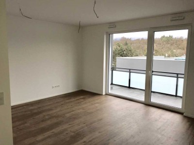 Tolle freunliche Einraumwohnung mit Einbauküche und Balkon im Grünen in Limburg an der Lahn