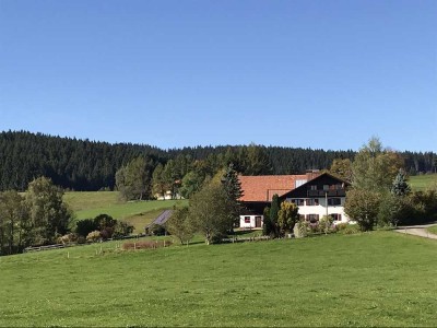 Schöne 3-Zimmer-DG-Wohnung in herrlicher Lage (Eschach bei Buchenberg) als Dauer- oder Ferienwohnung