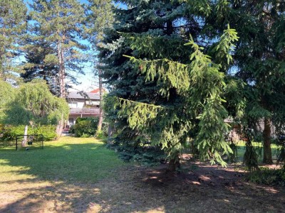 * Gemütliche Dachwohnung in Radebeul - Lindenau, großer Garten - ID 6466 *