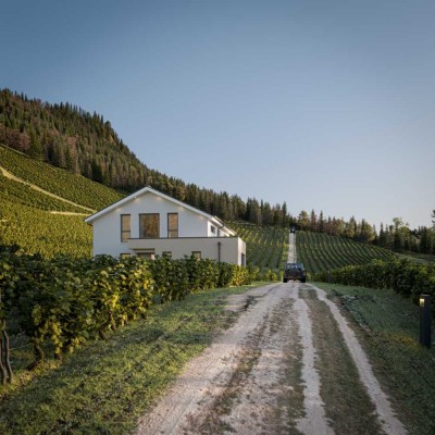 Bien-Zenker: Ihr Traumhaus, Ihre Vision - Maßgeschneidertes Wohnen in Thum