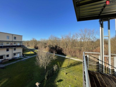 Absolute Ruhelage in der Solar-City! Diese lichtdurchflutete 4-Raum-Wohnung mit Balkon (Süd/Ost/West) grenzt direkt an das Naturschutzgebiet "Traun-Donau-Auen". Großes Kellerabteil inklusive, TG-Platz vorhanden!