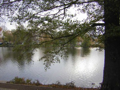 Ganz nah der Müggelspree - helle 2-Zi-Whg mit Terrasse im EG zum Bezug, 74 m²
