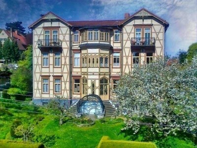 Ihre noble Villenetage mit Panoramakamin vis á vis vom Welfenschloss !