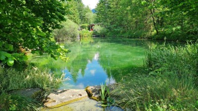 Ferienwohnung zum entspannen am nahezu privaten Wasser!