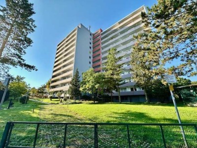 Helle & sanierte 3 Zimmerwohnung mit Balkon in Mainz!