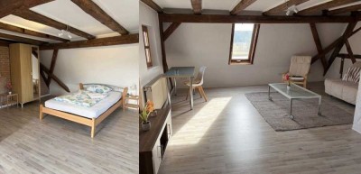 Stilvolles, gepflegtes 34 m² Zimmer mit Terrasse und EBK in Windsbach (WG)