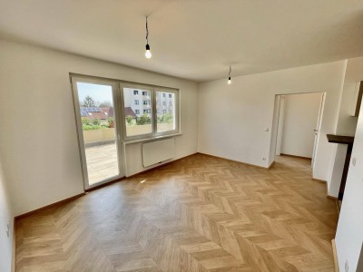 Erstbezug | Lichtdurchflutete Designwohnung mit 40 m² Terrasse | Toplage Mödling