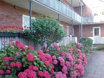 +++ Tolle 2-Zimmer Wohnung direkt am Werftpark +++