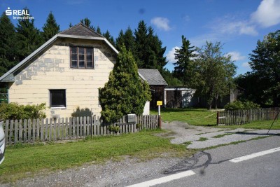 Großer Garten mit Altbestand und Nebengebäuden
