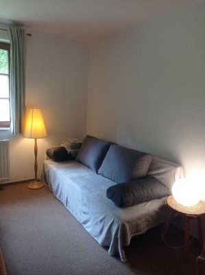 Möblierte 1-Zimmer-EG-Wohnung in Todtnau
