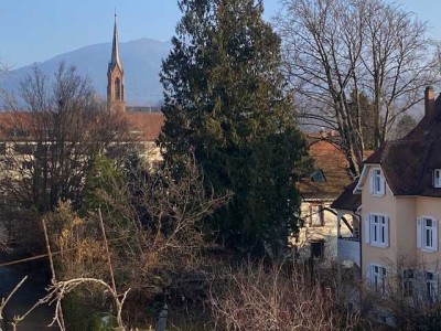 Topangebot- Zentrale - 3,5 Zimmer Wohnung -Ruhige  Lage in  Müllheim