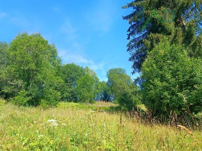 Natur pur! Sanierungsbedürftiges Haus mit ca. 7000 m² Grund! Absolut ruhige Randlage!