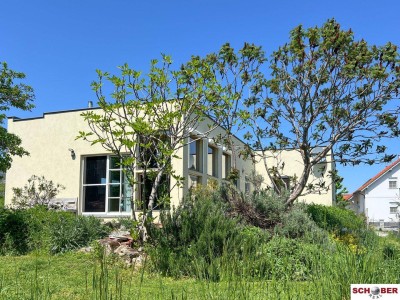 Modernes Wohnen am Neusiedler See