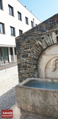 Kremser TOPLAGE * SINGLETRAUM; 2 Zimmer +Terr./Dachgarten; NEUBAU-Erstbezug