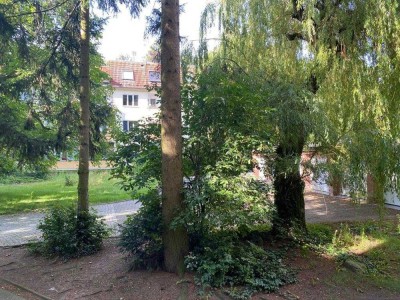 DG-Wohnung mit Terrasse u.Dachgarten (frisch renoviert)