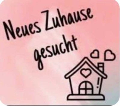 Mietwohnung dringend gesucht