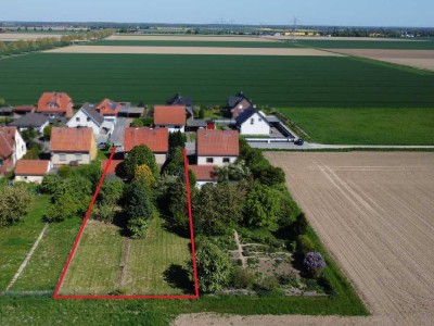 Am Feldrand: Siedlungshaus in Liedingen