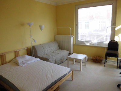 1 Zimmer in einer Villa von 1908
