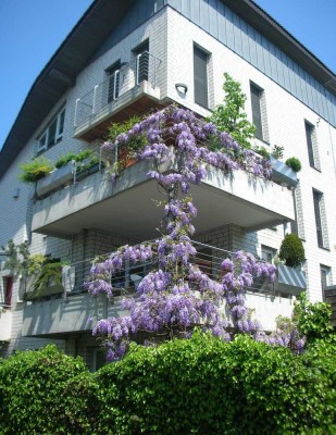 BUER - Wohn(t)raum im Erdgeschoss mit eigenem Garten in perfekter Lage !