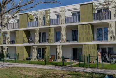 4 Zimmer Familientraum mit großzügiger Freifläche in Auersthal