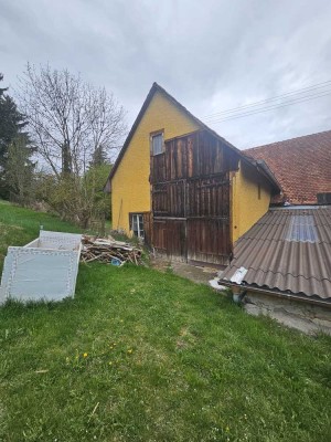 Vielseitig nutzbare Scheune in Frittlingen