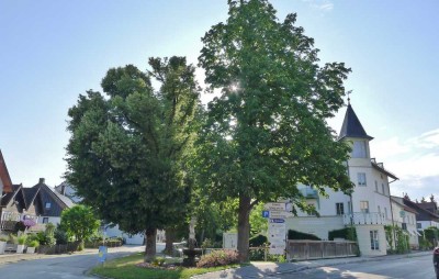 GELB Immobilien - Helle 2-Zi.-Wohnung mit Einbauküche & Stellplatz - frisch renoviert (2025)