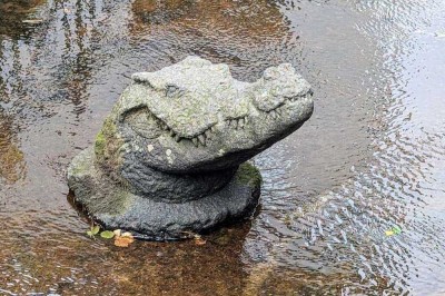 Reif für die Insel? Charmante 2-Zimmer Altstadtwohnung mit Münsterblick und Terrasse