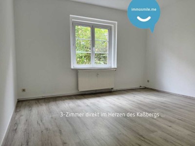 TOP! • 3-Raum • Kaßberg • Balkon • Tageslichtbad • neues Laminat • Stellplätze! • jetzt einziehen